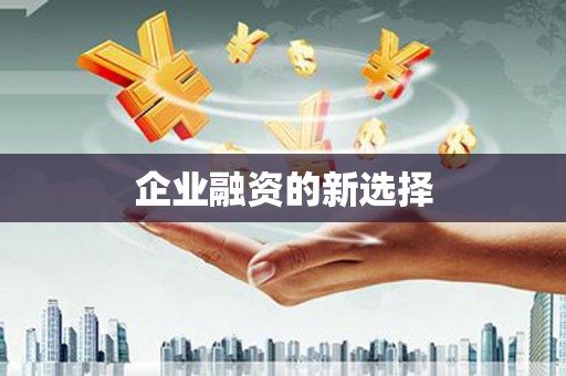 炉霍企业融资的新选择