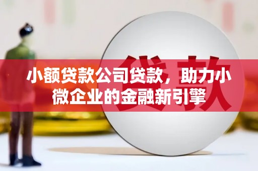 炉霍小额贷款公司贷款，助力小微企业的金融新引擎