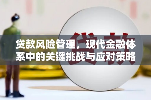 炉霍贷款风险管理，现代金融体系中的关键挑战与应对策略