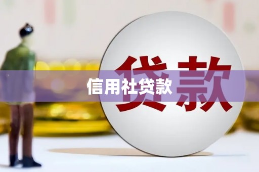 炉霍信用社贷款