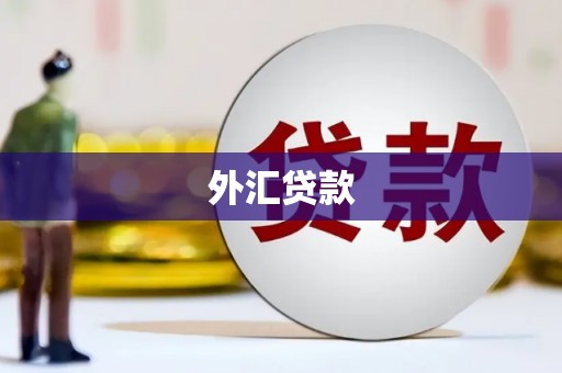 炉霍外汇贷款