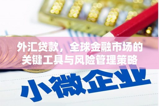 炉霍外汇贷款，全球金融市场的关键工具与风险管理策略