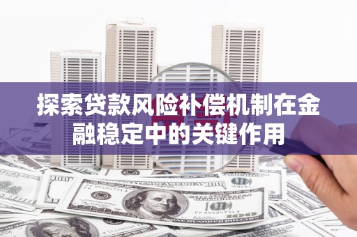 炉霍探索贷款风险补偿机制在金融稳定中的关键作用