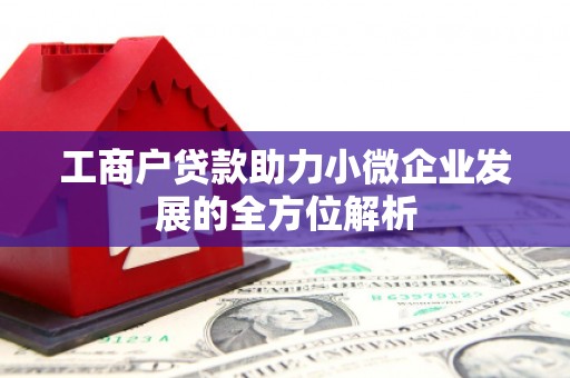 炉霍工商户贷款助力小微企业发展的全方位解析