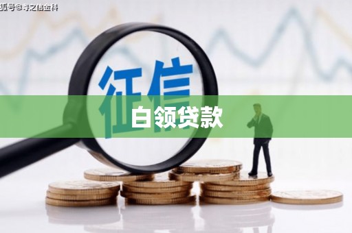 炉霍白领贷款
