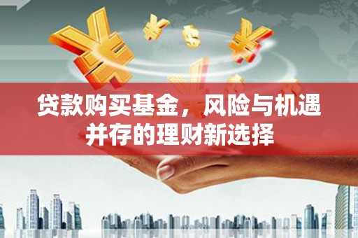炉霍贷款购买基金，风险与机遇并存的理财新选择