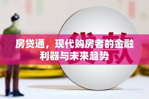 炉霍房贷通，现代购房者的金融利器与未来趋势
