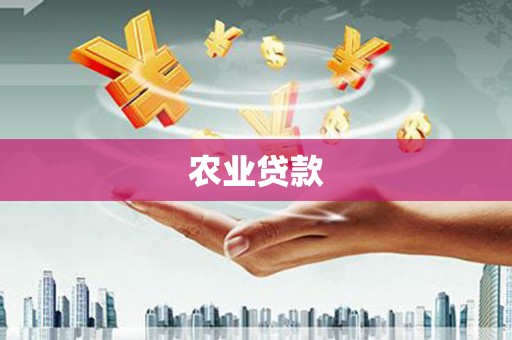 炉霍农业贷款