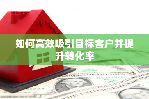 炉霍如何高效吸引目标客户并提升转化率