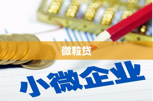 炉霍微粒贷