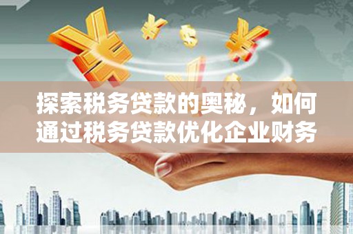 炉霍探索税务贷款的奥秘，如何通过税务贷款优化企业财务