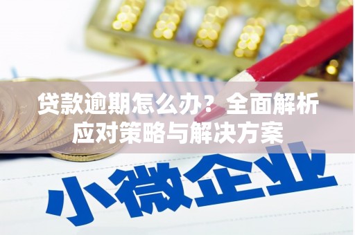 炉霍贷款逾期怎么办？全面解析应对策略与解决方案