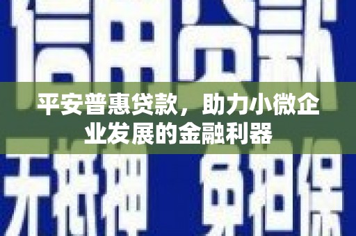 炉霍平安普惠贷款，助力小微企业发展的金融利器