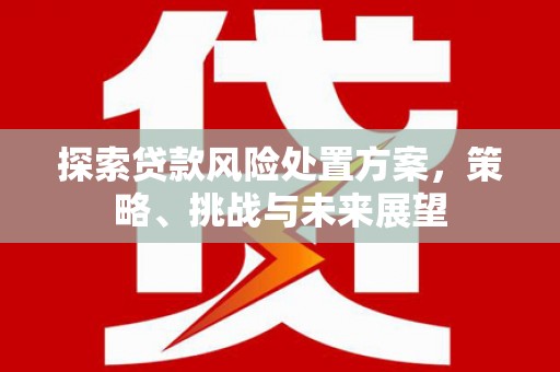 炉霍探索贷款风险处置方案，策略、挑战与未来展望