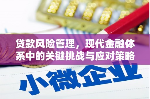 炉霍贷款风险管理，现代金融体系中的关键挑战与应对策略