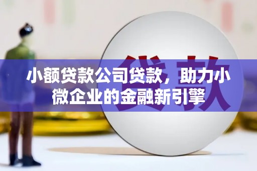炉霍小额贷款公司贷款，助力小微企业的金融新引擎