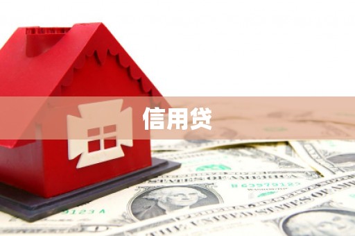 炉霍信用贷