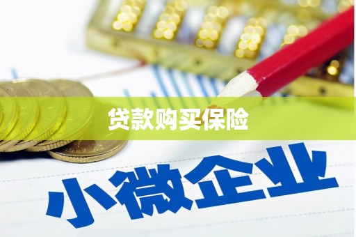 炉霍贷款购买保险