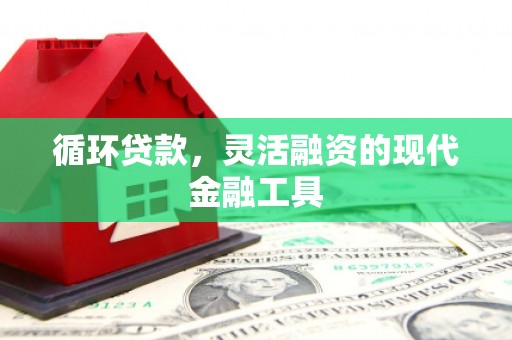 炉霍循环贷款，灵活融资的现代金融工具