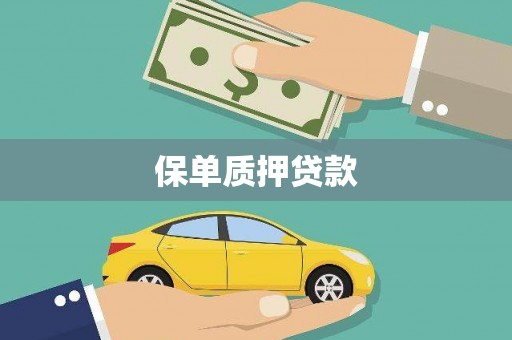 炉霍保单质押贷款