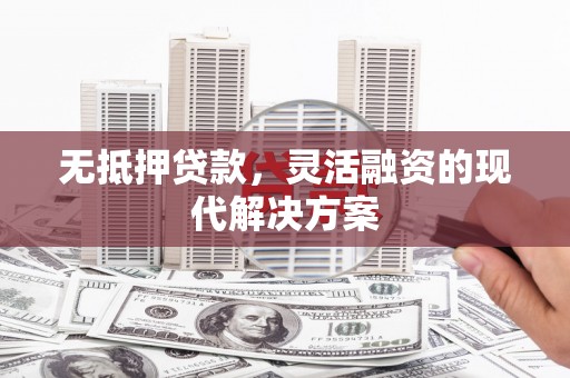 炉霍无抵押贷款，灵活融资的现代解决方案