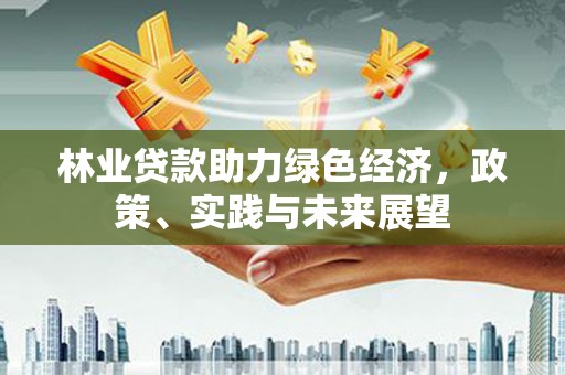 炉霍林业贷款助力绿色经济，政策、实践与未来展望