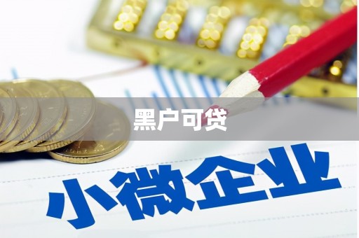 炉霍黑户可贷