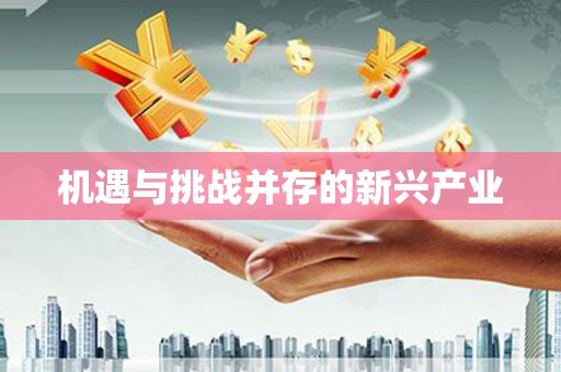炉霍机遇与挑战并存的新兴产业