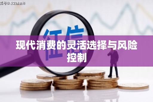 炉霍现代消费的灵活选择与风险控制