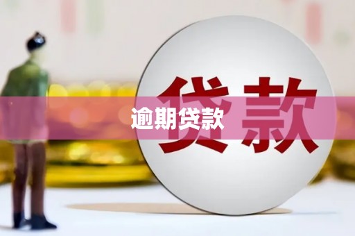 炉霍逾期贷款