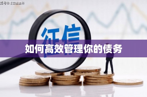 炉霍如何高效管理你的债务