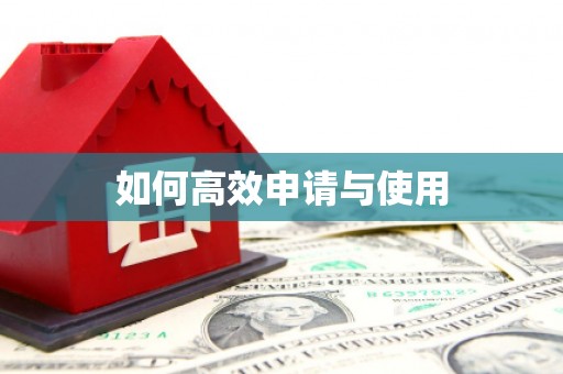 炉霍如何高效申请与使用