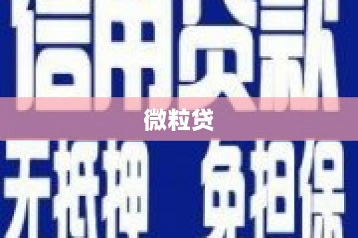 炉霍微粒贷