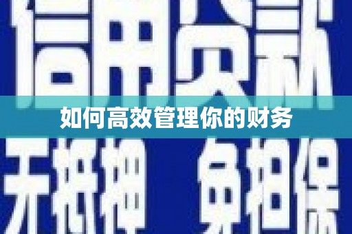 炉霍如何高效管理你的财务
