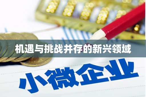 炉霍机遇与挑战并存的新兴领域