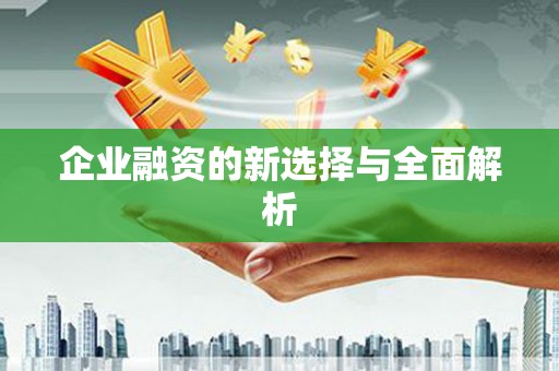 炉霍企业融资的新选择与全面解析