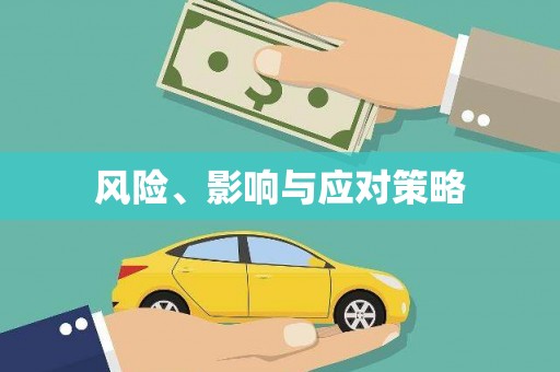炉霍风险、影响与应对策略