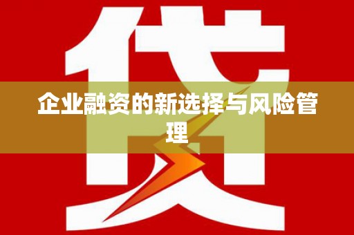 炉霍企业融资的新选择与风险管理