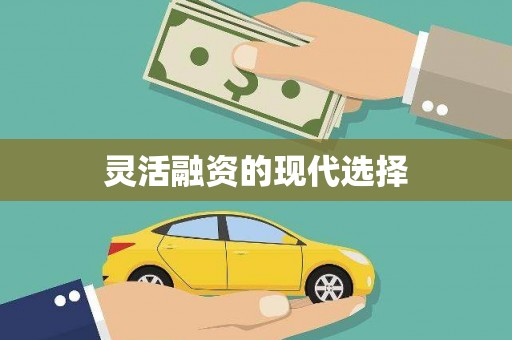炉霍灵活融资的现代选择
