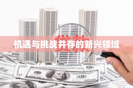 炉霍机遇与挑战并存的新兴领域