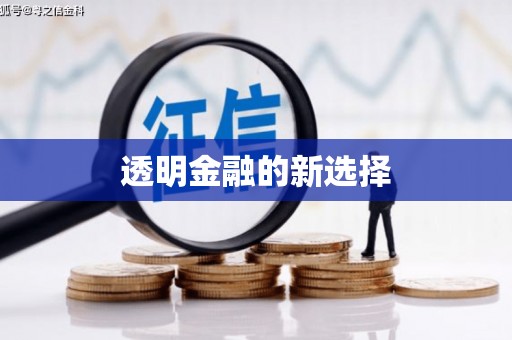 炉霍透明金融的新选择