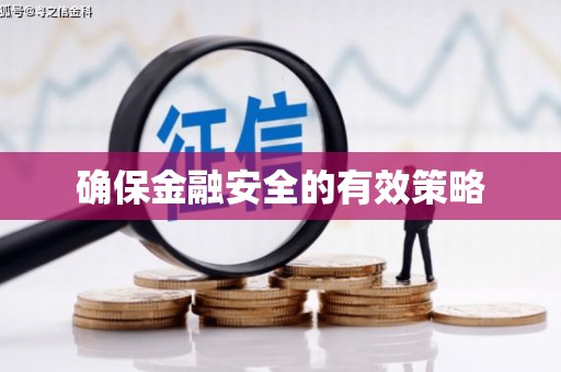 炉霍确保金融安全的有效策略