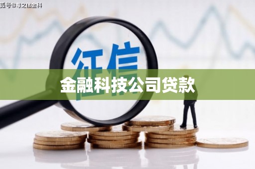 炉霍金融科技公司贷款