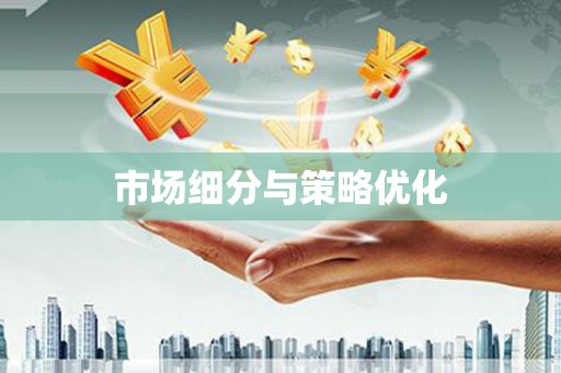 炉霍市场细分与策略优化