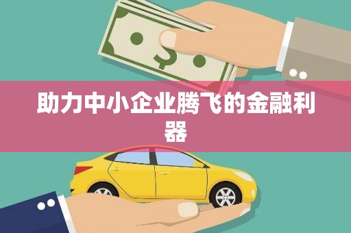 炉霍助力中小企业腾飞的金融利器