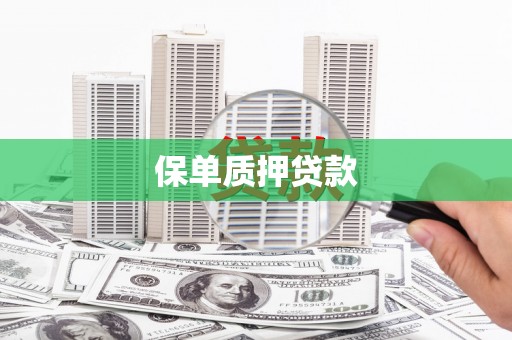 炉霍保单质押贷款