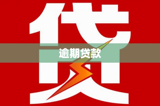 炉霍逾期贷款