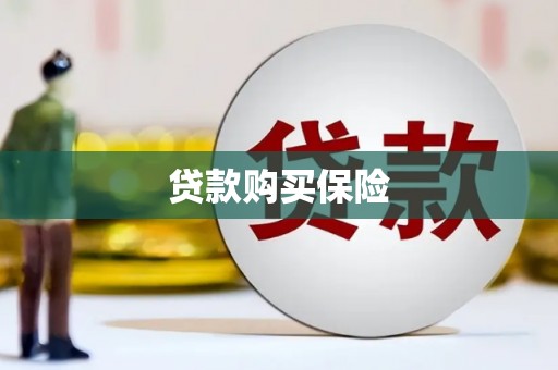 炉霍贷款购买保险
