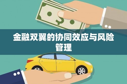 炉霍金融双翼的协同效应与风险管理