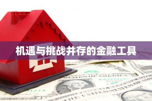 炉霍机遇与挑战并存的金融工具